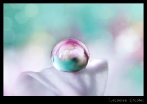 Turquoise Droplet.jpg